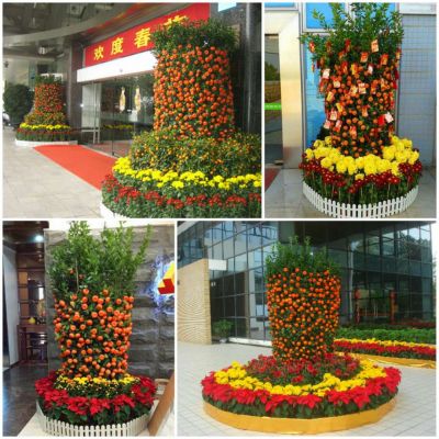 年桔租擺（bǎi）