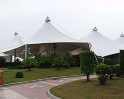 公園廣場綠化養護（hù）