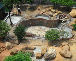 綠（lǜ）化種植工程