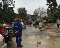 萬科金域藍灣綠化工程（chéng）