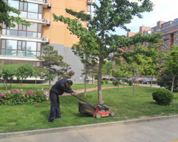 小區綠（lǜ）化養護2
