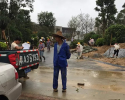 萬科金（jīn）域藍灣綠化工程（chéng）