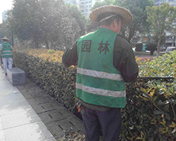 綠（lǜ）化修剪養護