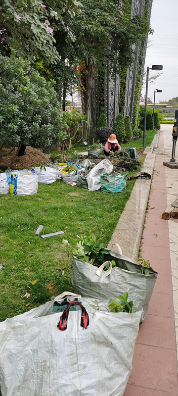 番禺祈福繽紛世界（jiè）綠化（huà）工程