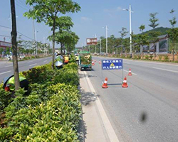 道路樹木綠化養護