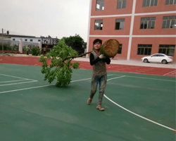 嶺南（nán）學院綠化工程